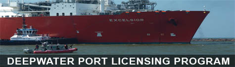 Large vessel, Excelsior sits in the ocean surrounded by smaller vessels.